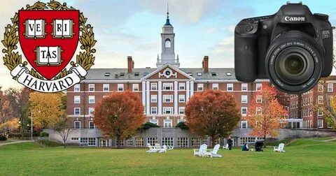 Harvard university course