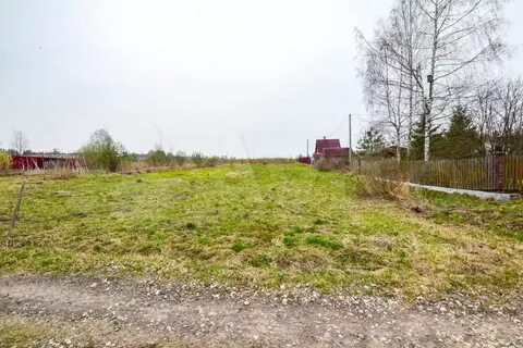 5 в шаховскую