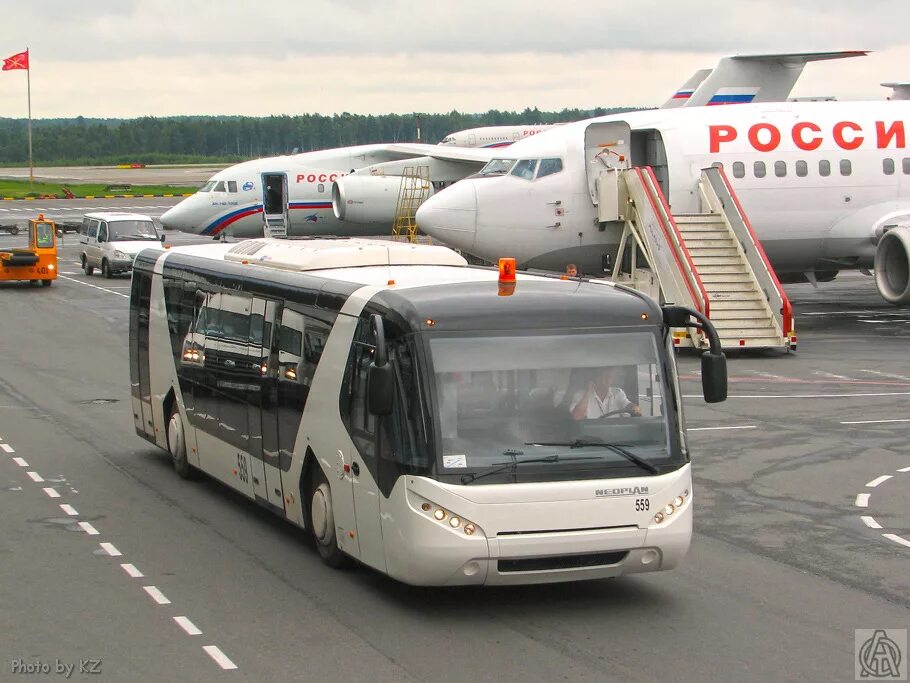 Neoplan p84 n9122l Apron. Neoplan Apron n9112 xplane. Neoplan p82 n9122l.