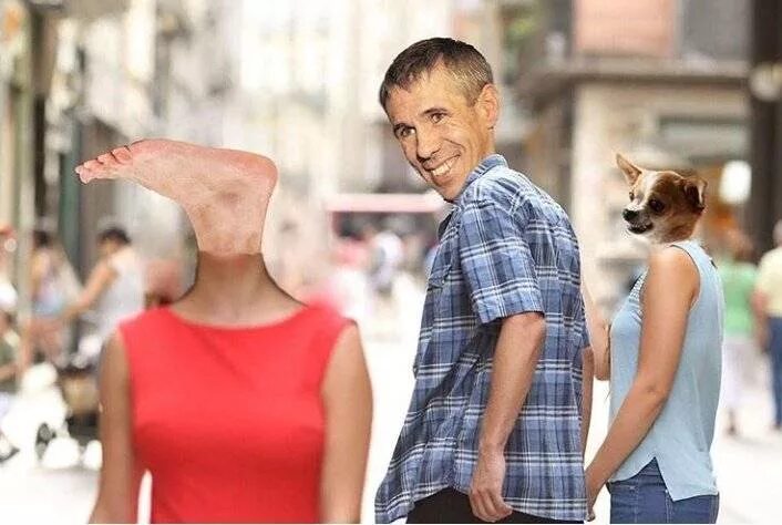 Панини собака