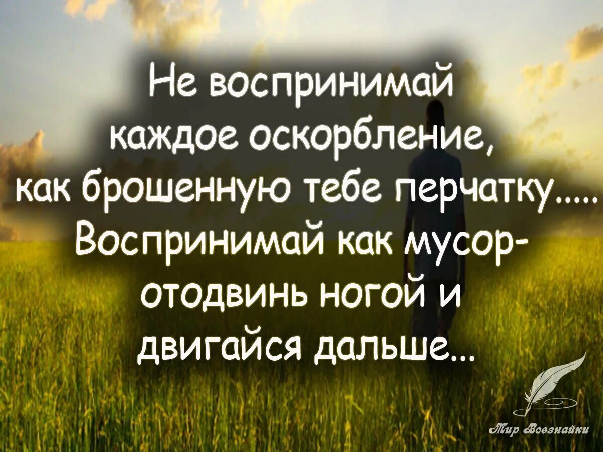 Высказывания про оскорбления. Цитаты про оскорбления. Цитаты про оскорбления и унижения. Умные высказывания. Какие люди унижают других