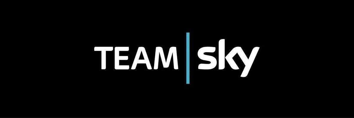 Скай тим. Скай тим участники. sky team logo. все компании скай тим.