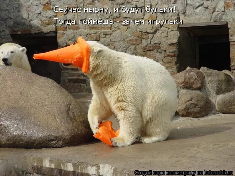 коран мем. медведь и утка. Speed draw роблокс рисунки. пум пурум пурум пум пум. максим пам парам.