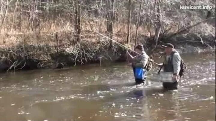 Ловим рыбу в мутной реке. Рыбалка весной в мутной воде на речке. Рыбалка на хариуса река Катэн. Ловля щуки в мутной воде.