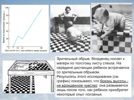 Эксперименты с новорожденными