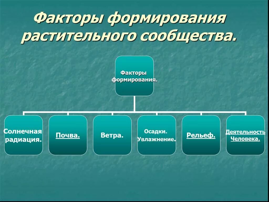 Конспект по биологии структура растительного сообщества. Естественные и искусственные растительные сообщества. Виды растительных сообществ. Растительные сообщества и их типы. Растительные сообщества 7 класс биология.