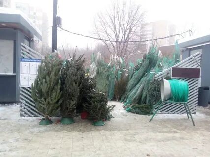 Елочный базар зеленоград