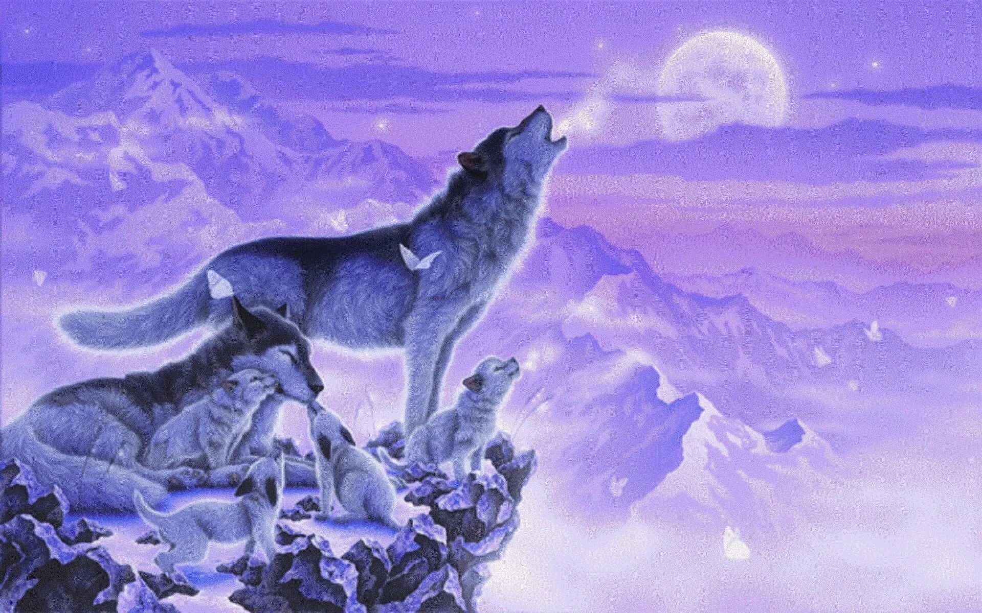 Кентаро Нишино художник. Кентаро Нишино семья Волков. Красивый волк. Снежный волк.