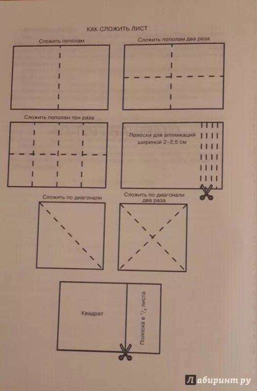 Сколько можно сложить лист а4. Сложить лист. Сложить лист пополам. Сложить лист 8 раз. Лист бумаги сложенный пополам.