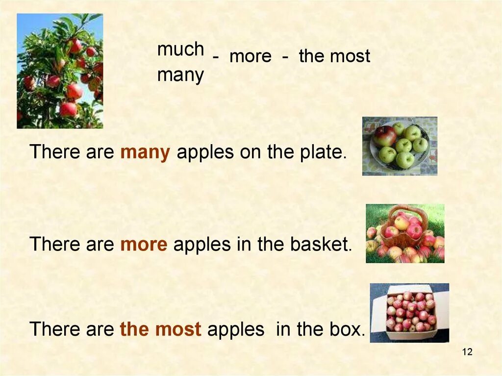 Much many. Apples much или many. much many more the most. much apples или many apples.
