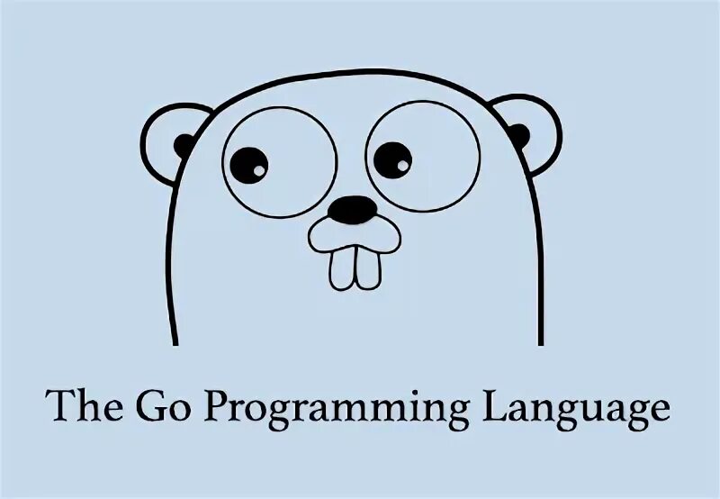 Golang internal. Golang информационная безопасность. golang code. golang pics. golang code png.