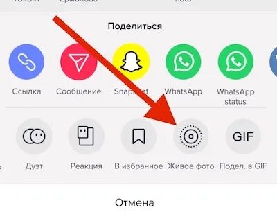 Последний плагин для тик тока