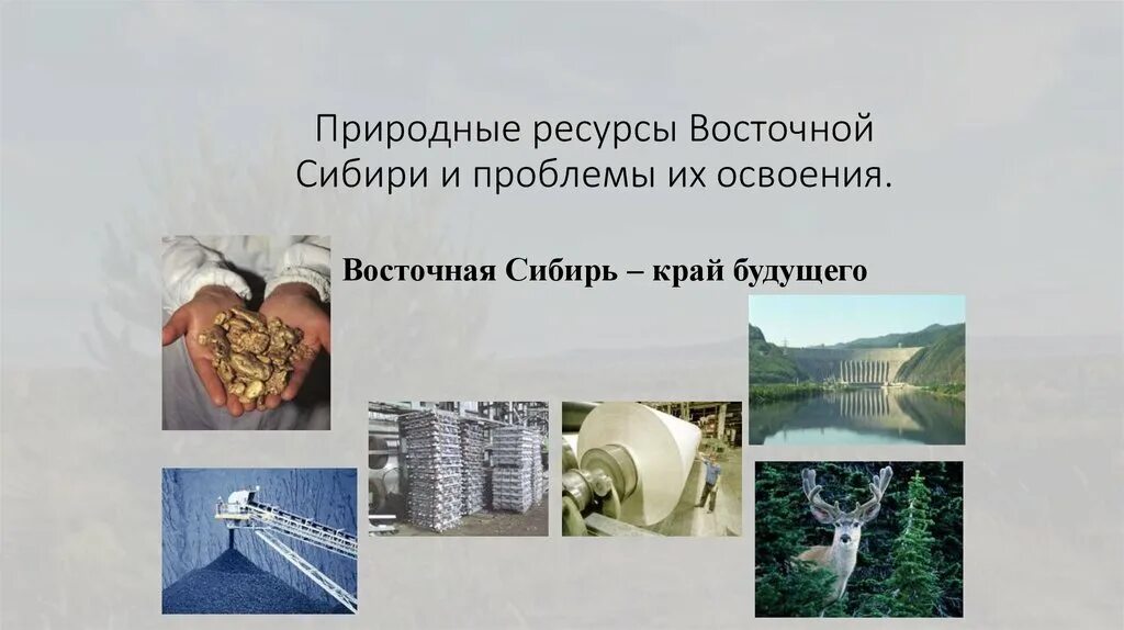 Сибирь богата природными ресурсами. Природные ресурсы Восточной Сибири. Проблемы освоения природных ресурсов Восточной Сибири. Природные ресурсы Сибири СИБИ. Проблемы Восточной Сибири.