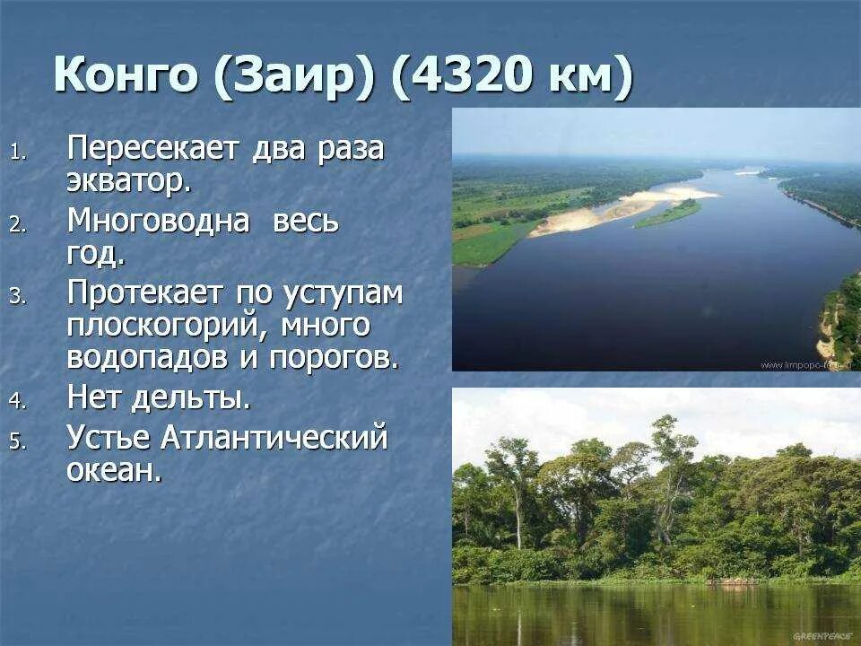 Направление реки конго. Исток и Устье реки Конго. Исток реки Конго в Африке таблица. Эстуарий реки Конго.