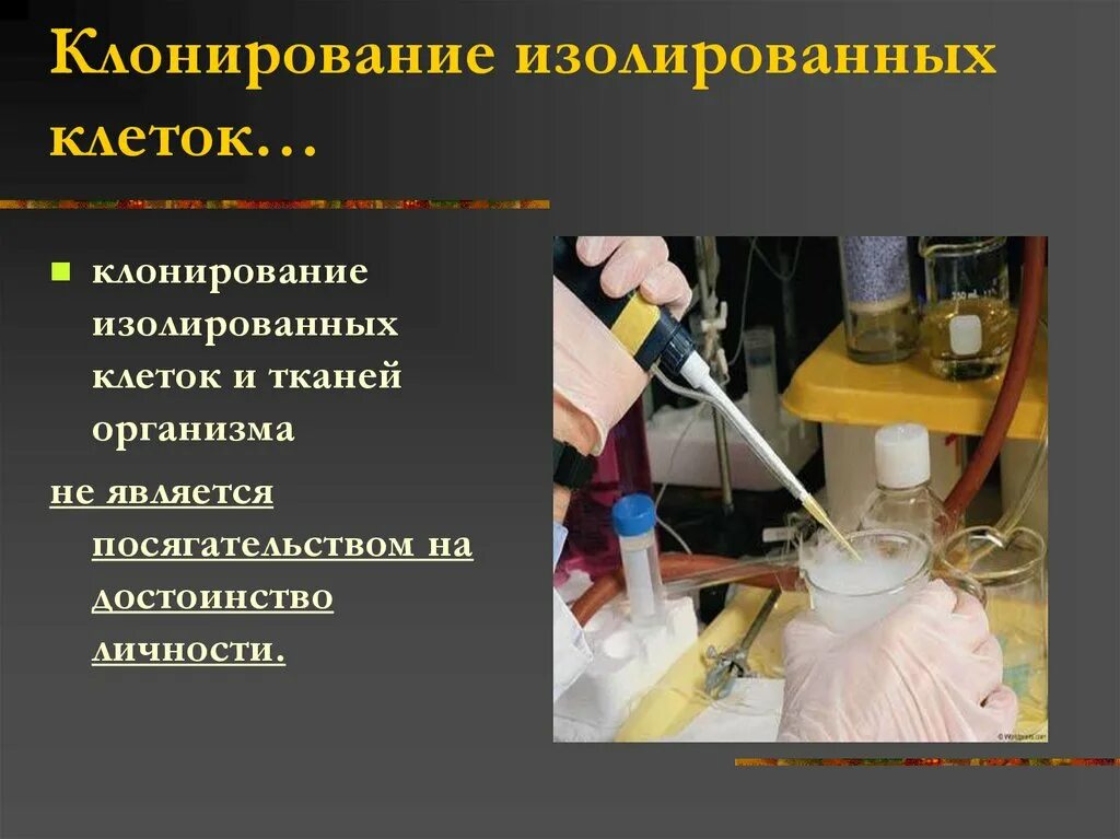 Эксперимент биоэтика. Эксперименты на животных биоэтика. эксперименты над животными биоэтика. эксперимент это в биоэтике. биомедицинский эксперимент.