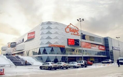 Барс на московском