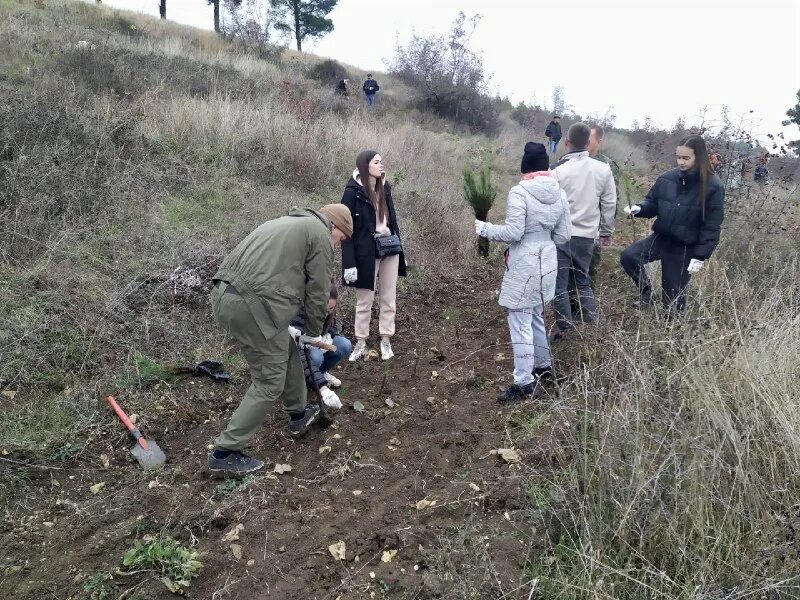 начальник лесхоза севастополя. лесного хозяйства севастополя. шафран севастополь лесничество. лесхоз севастополь. лесное хозяйство севастополь.