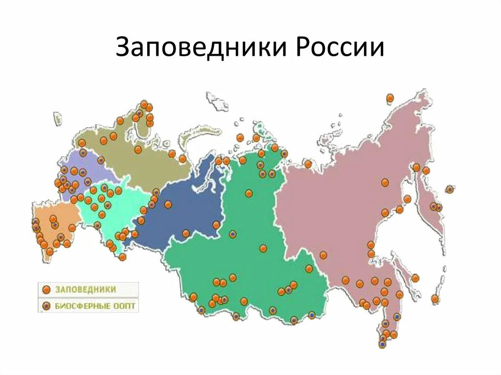 Крупнейшие заповедники россии на карте. Карта особо охраняемые природные территории России атлас. Заповедники Биосферные заповедники национальные парки России карта. Особо охраняемые территории заповедники России карта. Карта России заповедники и национальные парки 2023.