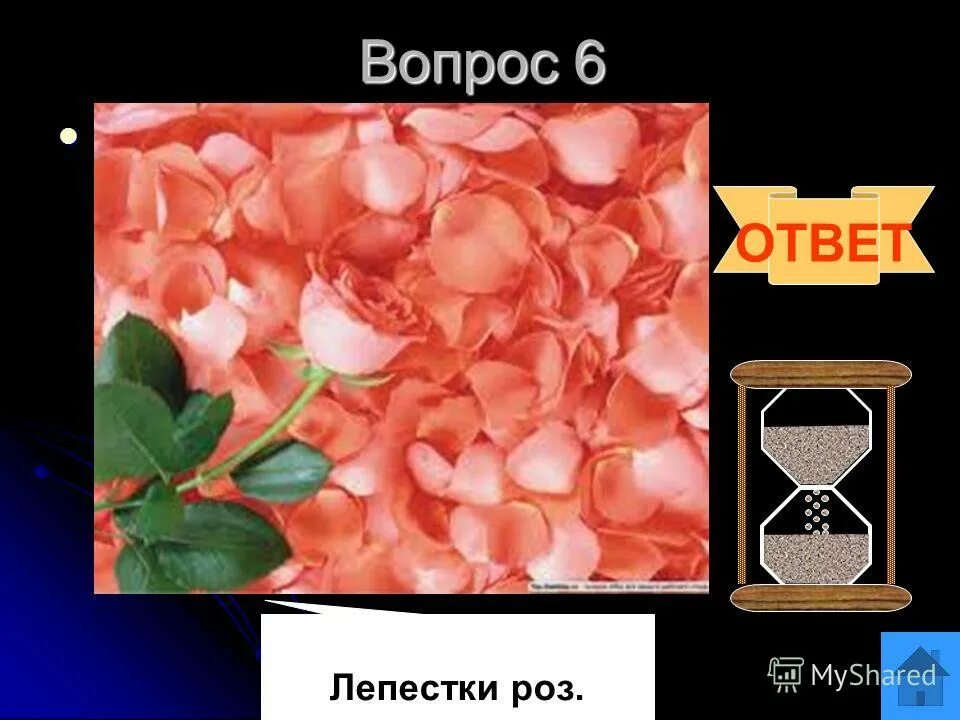 В честь какого цвета. В честь какого цвета