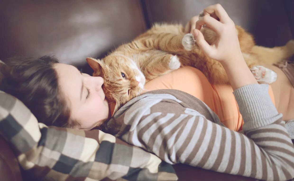 Котики и люди
