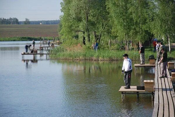 Барыбино рыбалка. Барыбино озеро платная рыбалка. Рыбалка в Барыбино Домодедовский район. Барыбино Домодедово рыбалка. Барыбино платная рыбалка.
