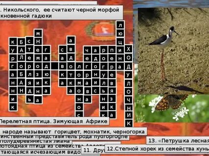 Гадюка кроссворд
