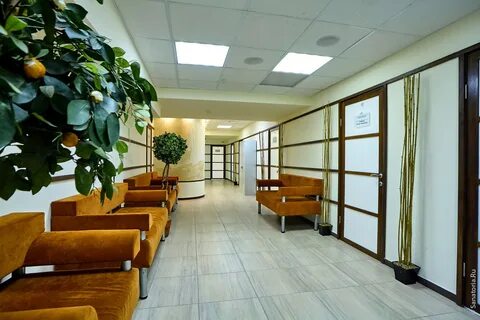 Балтиец дмитровская