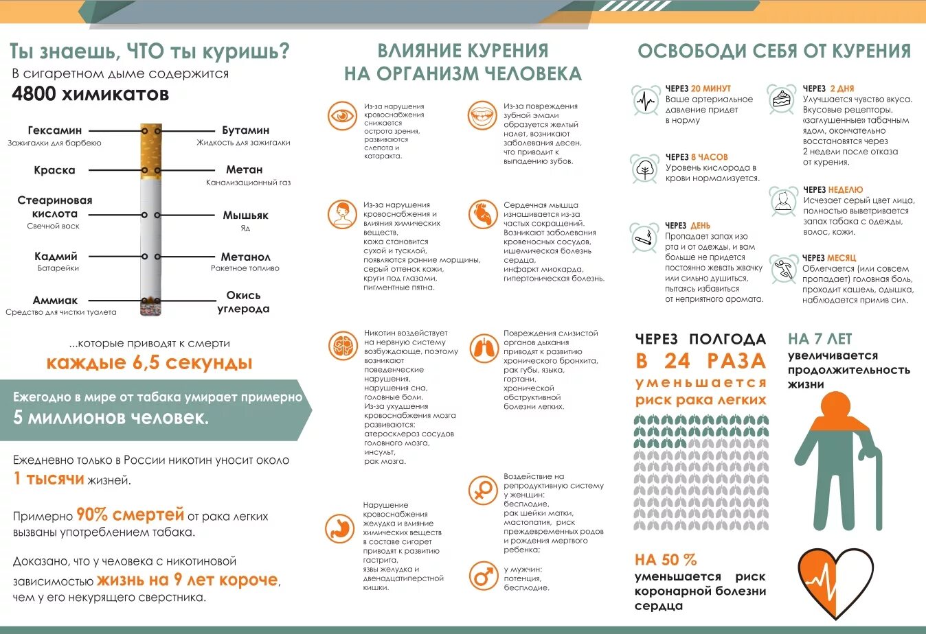 Сколько нужно времени чтобы никотин