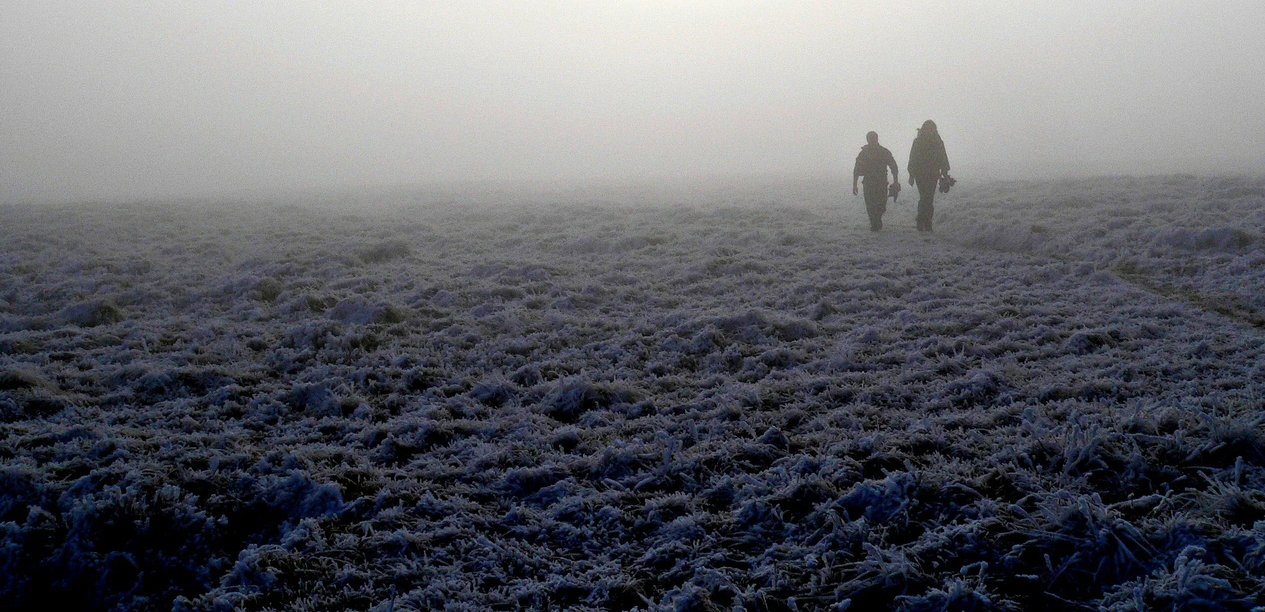 Снежная мгла. Гало солнечное явление. Полярная мгла. Северное полярное сияние в финляндии. Полярная мгла.