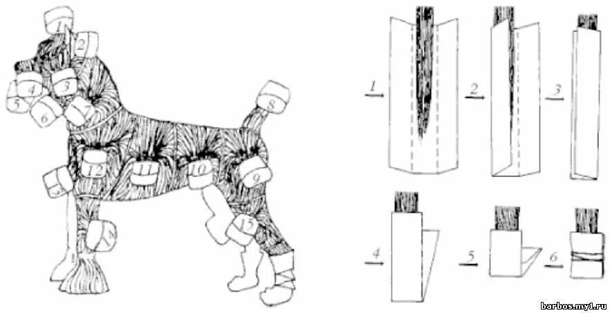 Вязание на йоркширского терьера схемы. Йоркширский терьер строение тела. Вязание на йоркширского терьера схемы. Схема стрижки йоркширского терьера. Вязание для собачек йорков с описанием.
