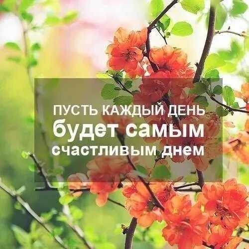 Каждый новый не будет приносить