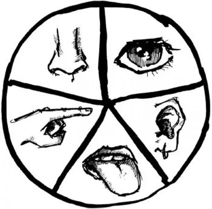 способы восприятия человека. рисунок на тему свойства информации. способы восприятия информации человеком. виды информации по способу её восприятия человеком илюстрации. способы восприятия информации.