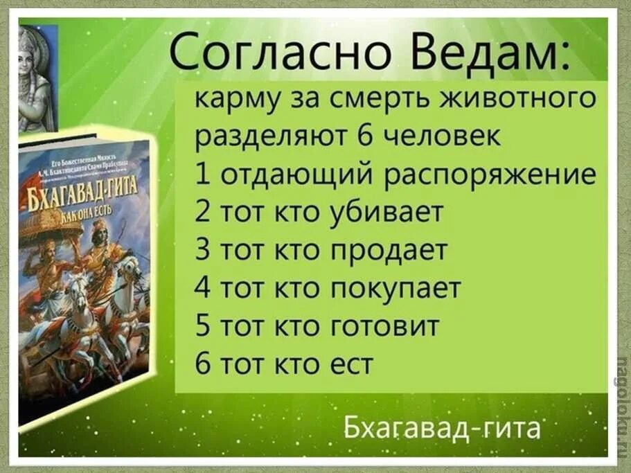 Сколько вед. Ведические цитаты. мясо и веды. веды цитаты. карма веды.