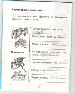 Рассмотрите схему дополните ее