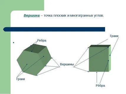 Вершины ребер