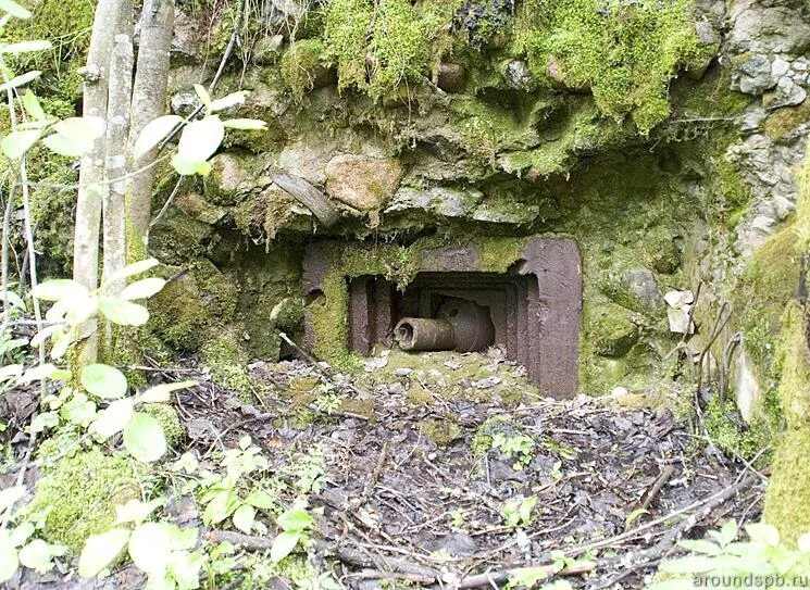Древо-земляная огневая точка дзот. Подик дот. Дзот в павловском парке. Скилы течиса дота 2. Дот огневая точка.