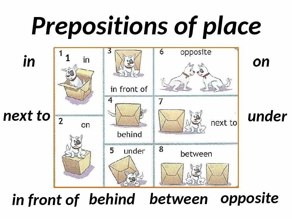 Предлоги спотлайт 2 класс. Предлоги английский on in next to under. Предлоги in on under behind next to in Front of. Prepositions в английском языке. Предлоги under behind in on.