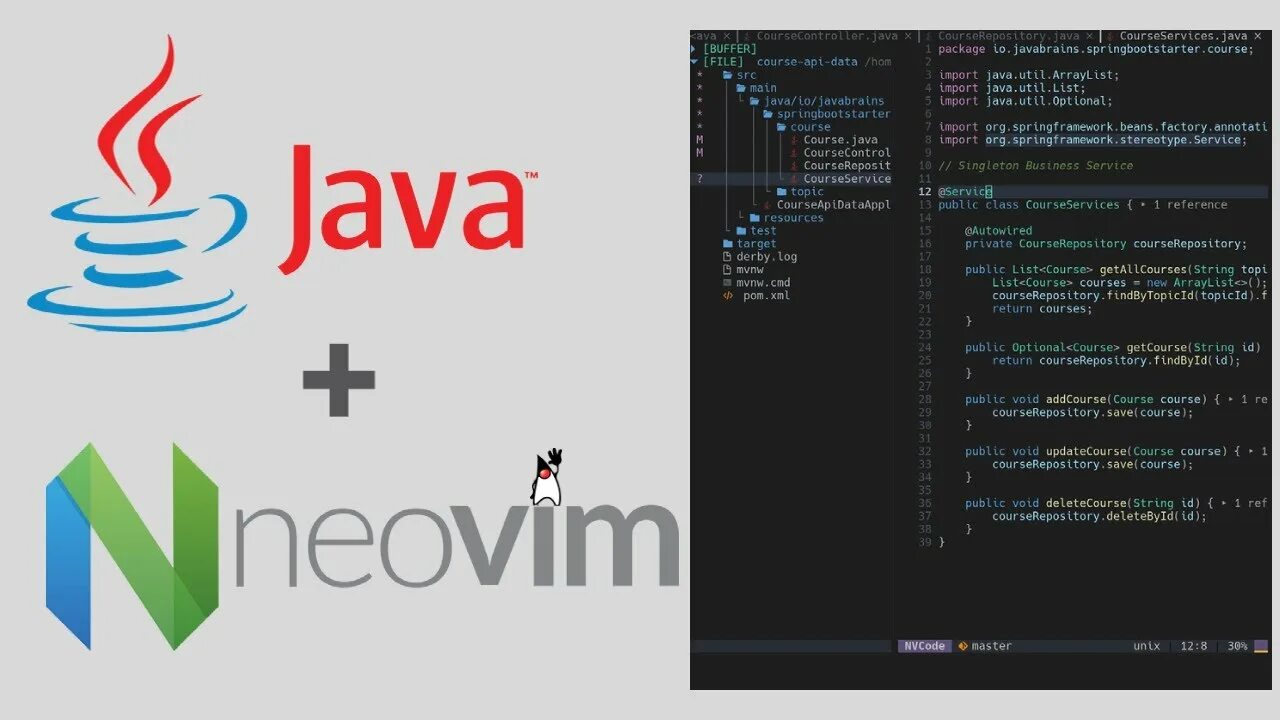 Neovim lsp. Neovim ide. vim java. idea vim. neovim linux.