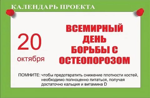 Какой день отмечается 20 октября