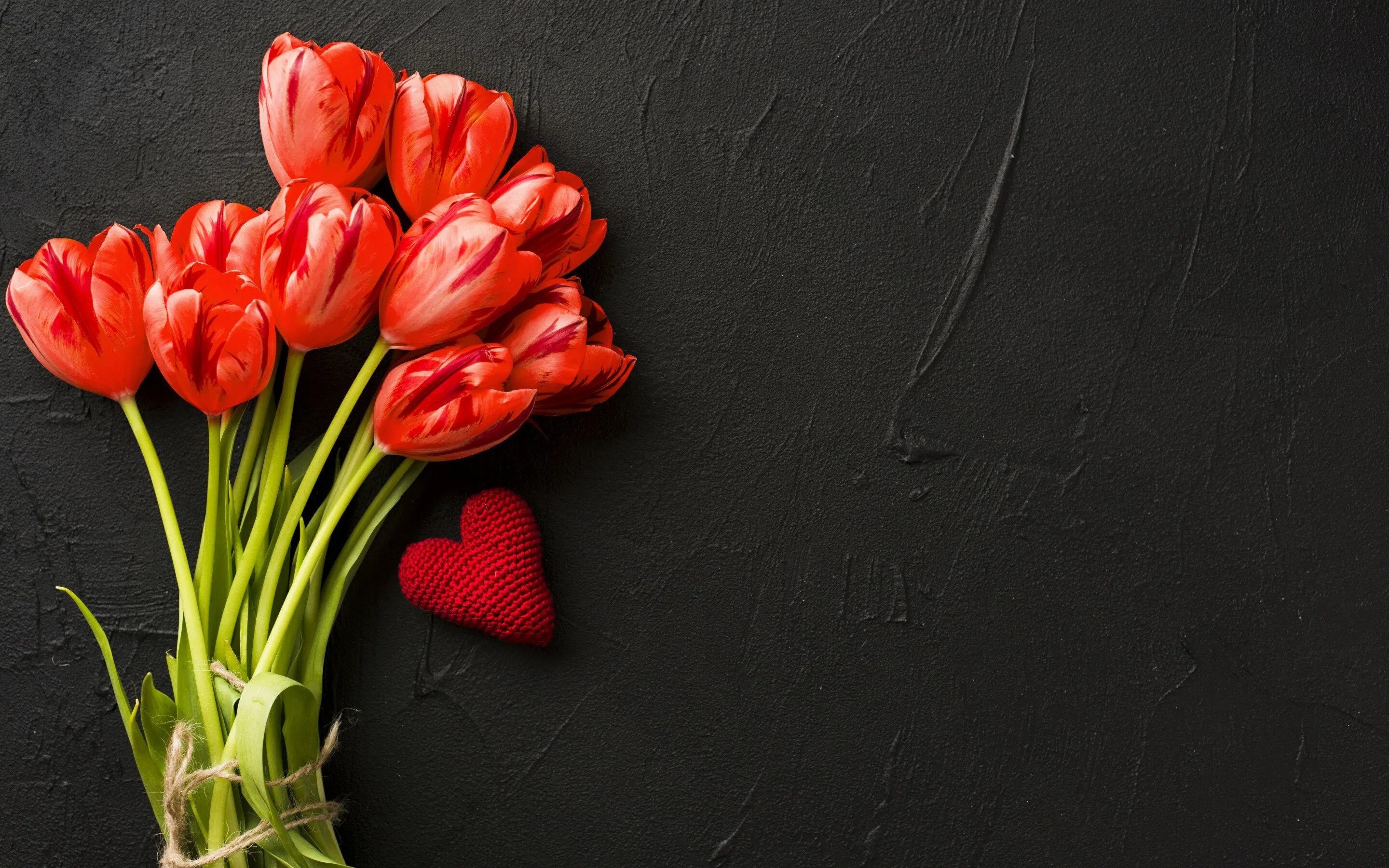 Тюльпаны минимализм. Красные тюльпаны. Букет тюльпанов. Тюльпаны на черном фоне.