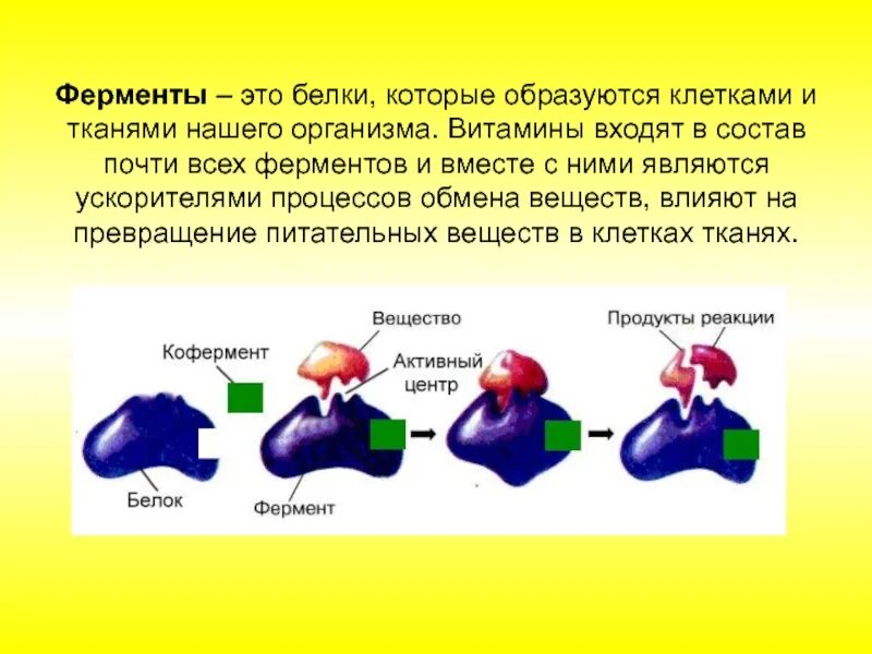 Ферменты формируются. Ферменты это. Ферменты презентация. Ферменты это в биологии. Ферменты биология 8 класс.