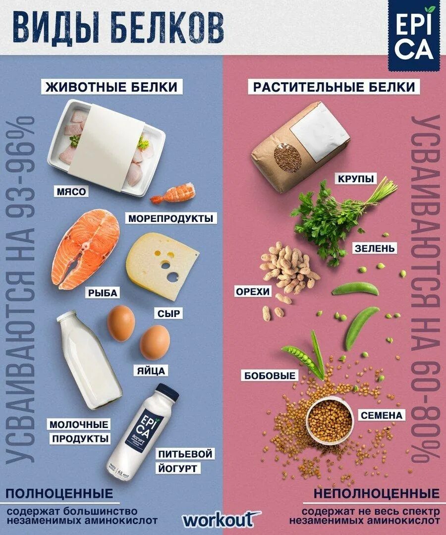 Продукты с высоким содержанием белка. Продукты богатые белком список. Продукты богатые велком. Белки список продуктов. Количество белка в растительных продуктах