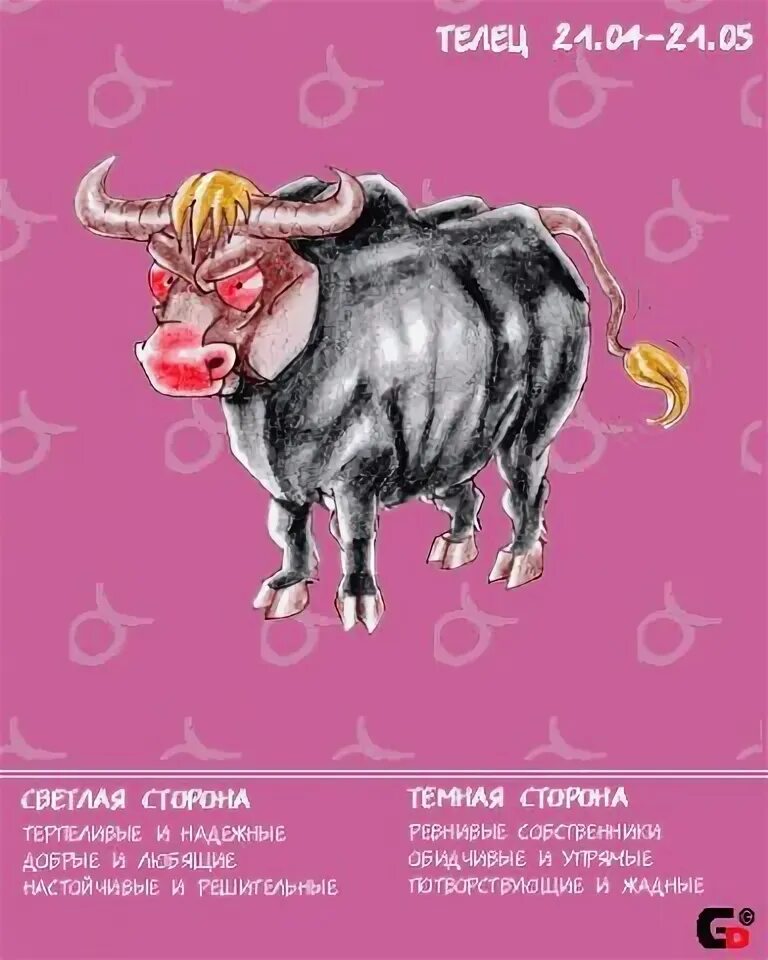 Как понять что он телец. Высказывания про тельца. приколы про тельцов. смешной телец. телец прикольный гороскоп.
