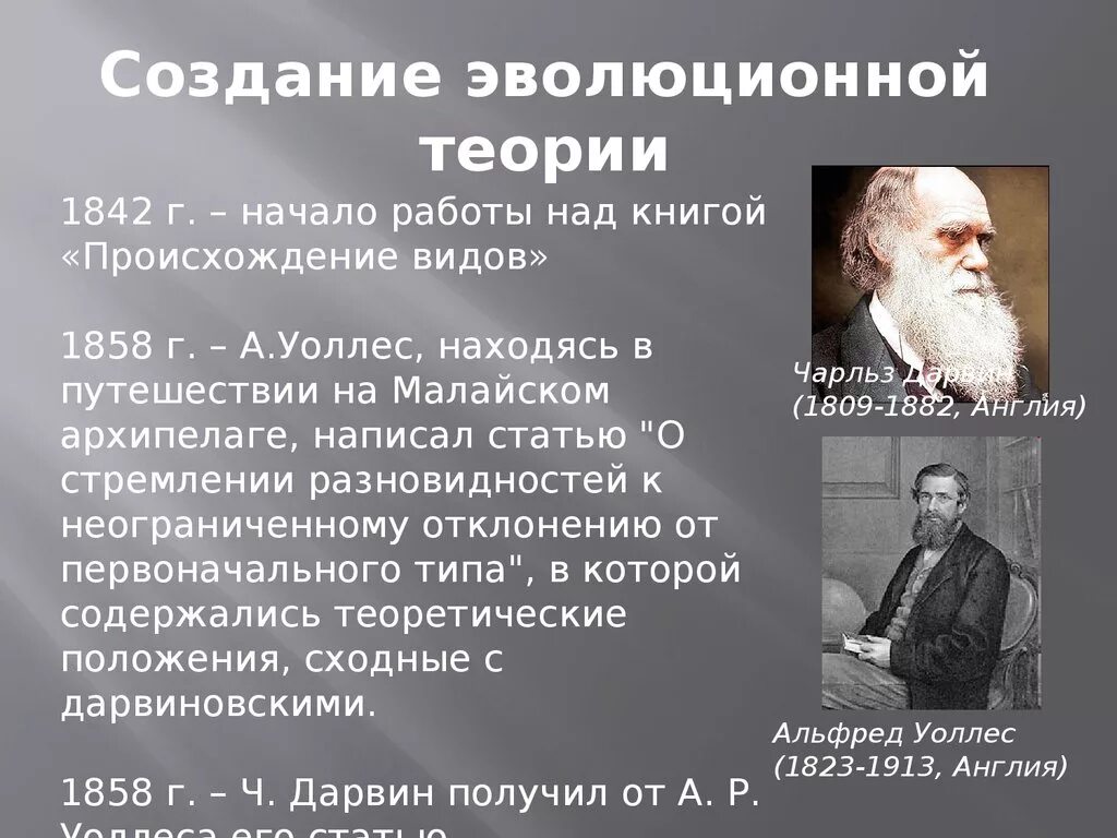 Первой эволюционной теорией является. Дарвин и Уоллес теория эволюции. Теория эволюции Дарвин 1842. Теория эволюционизма.