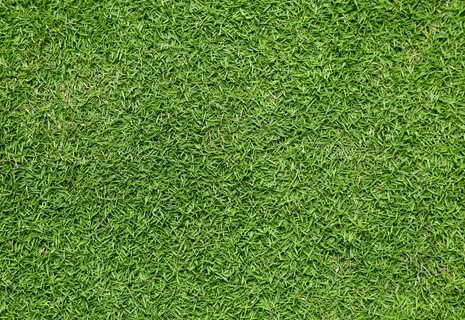 Grass well