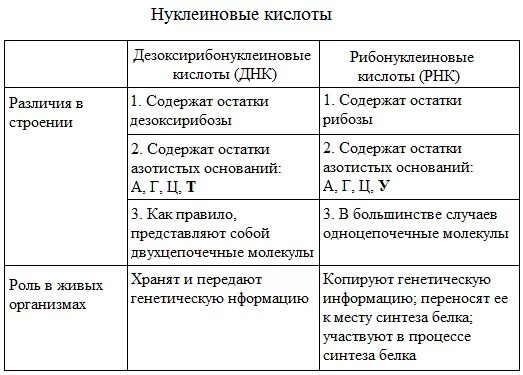 Строение и функции нуклеиновых кислот таблица 10 класс биология. Классификация и биологическая роль нуклеиновых кислот.. Структура и функции нуклеиновых кислот таблица. Строение и функции нуклеиновых кислот ДНК И РНК. Нуклеиновые кислоты рнк функции