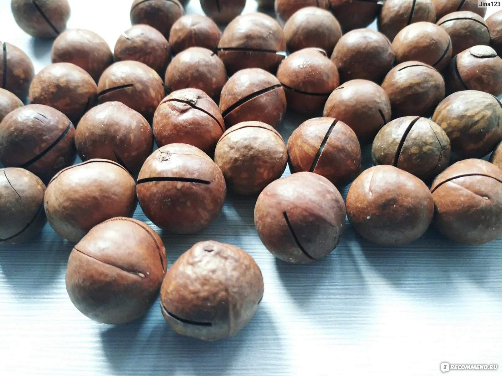 Дорогие орехи макадамия. Самый дорогой орех в мире макадамия. Самый вкусный орех. Орех макадамия как растет.