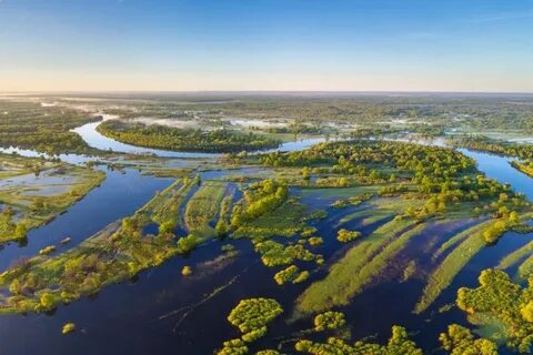 Полесская низменность