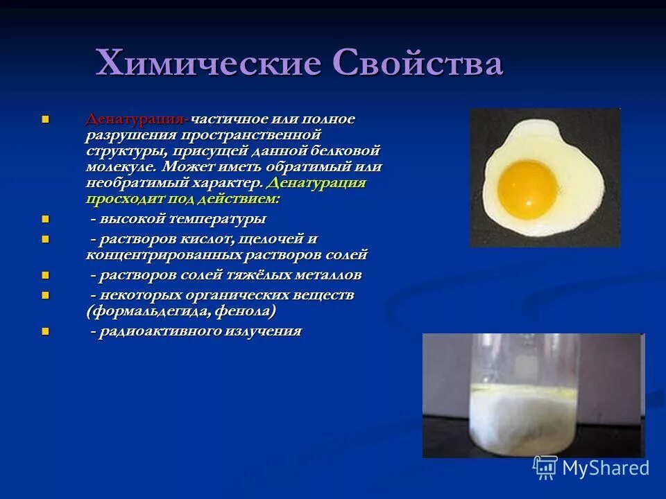 Белки с азотной кислотой. Денатурация белка химическая реакция. Денатурация белка химия реакция. Химические свойства белков денатурация реакция. Денатурация белка реакция хим.