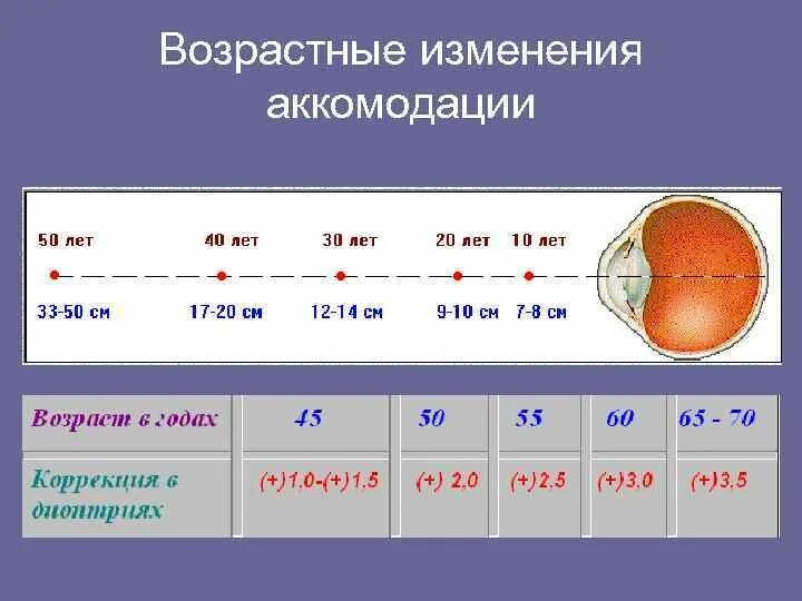 Возрастная динамика аккомодации. Возрастные изменения аккомодации. Возрастные изменения рефракции и аккомодации. Возрастные изменения рефракции. Показатели возрастных изменений